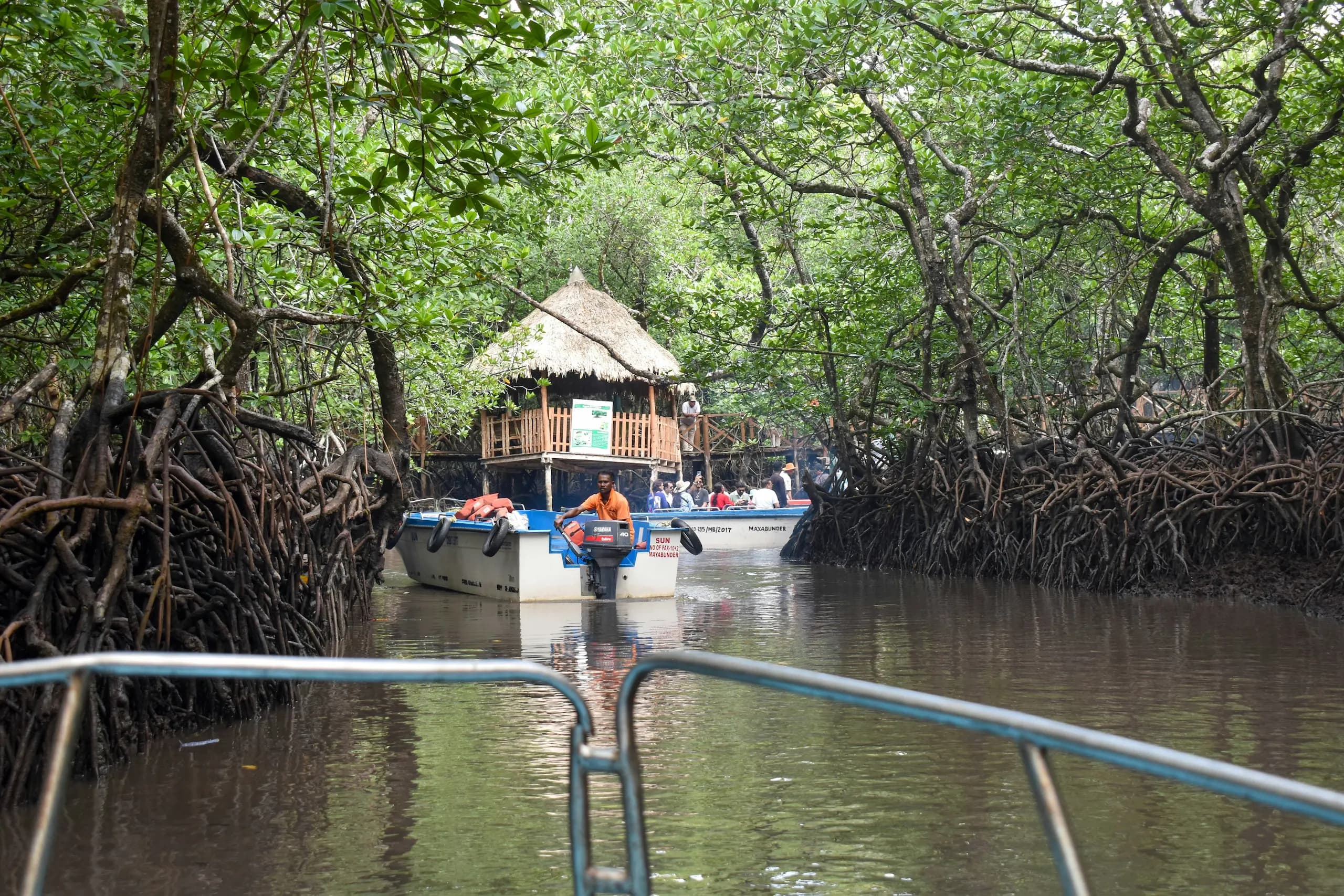 Baratang mangrove route