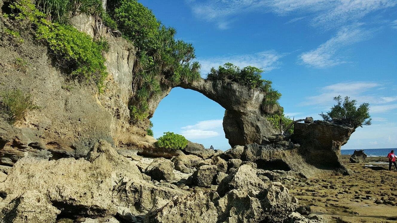 Natural Coral Bridge landscape