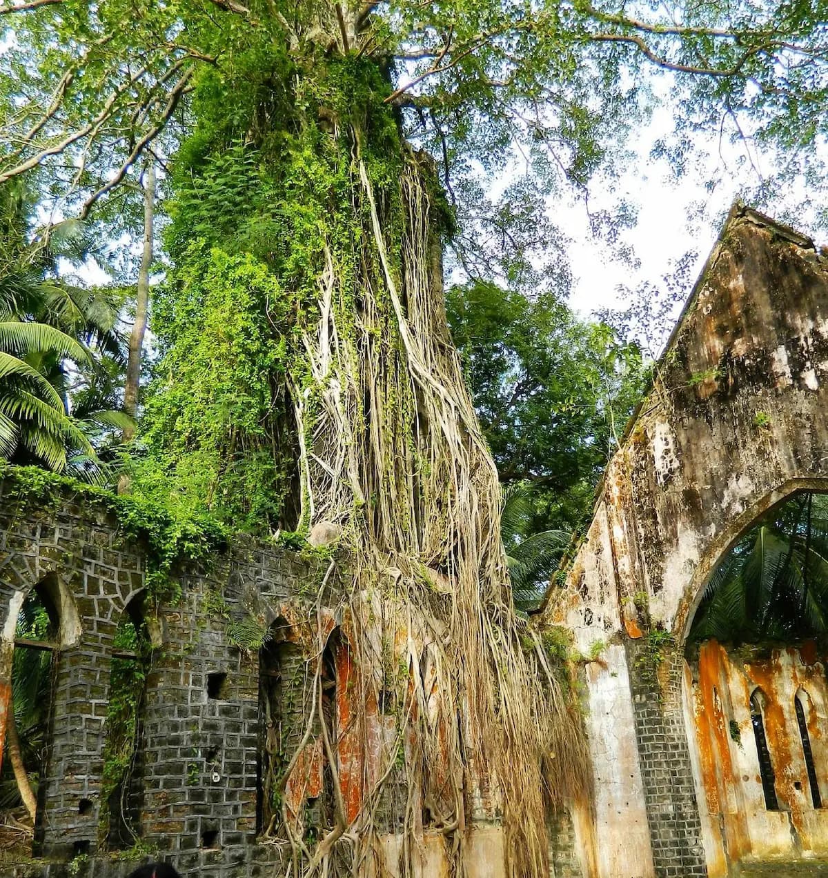 Chief Commissioner's ruins